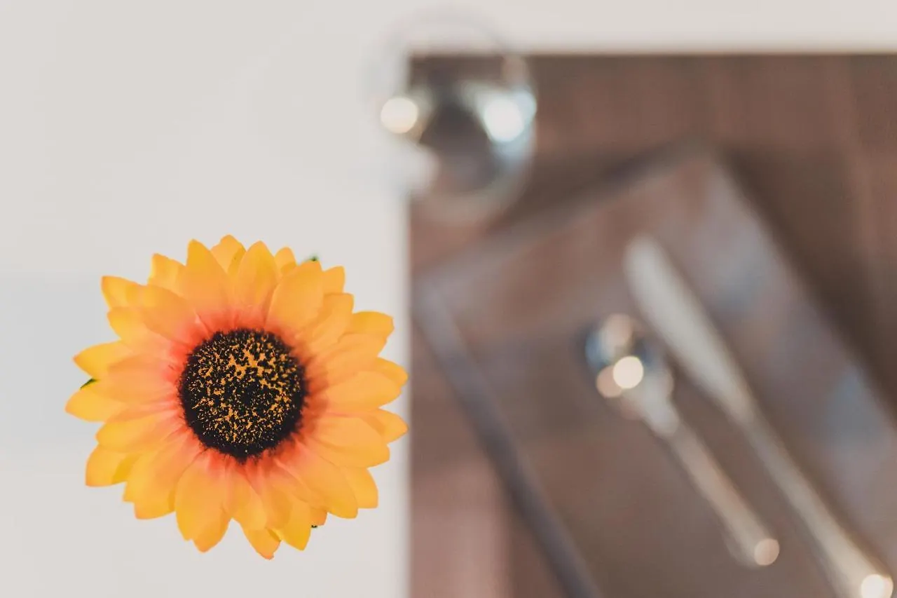 Trip Room & Breakfast Reggio di Calabria Bed & Breakfast